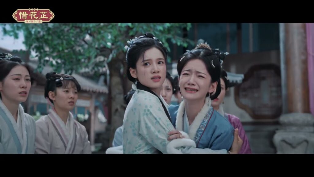 惜花芷(せきかし) 感想&評価!張婧儀の成長物語とファンの本音を徹底解説