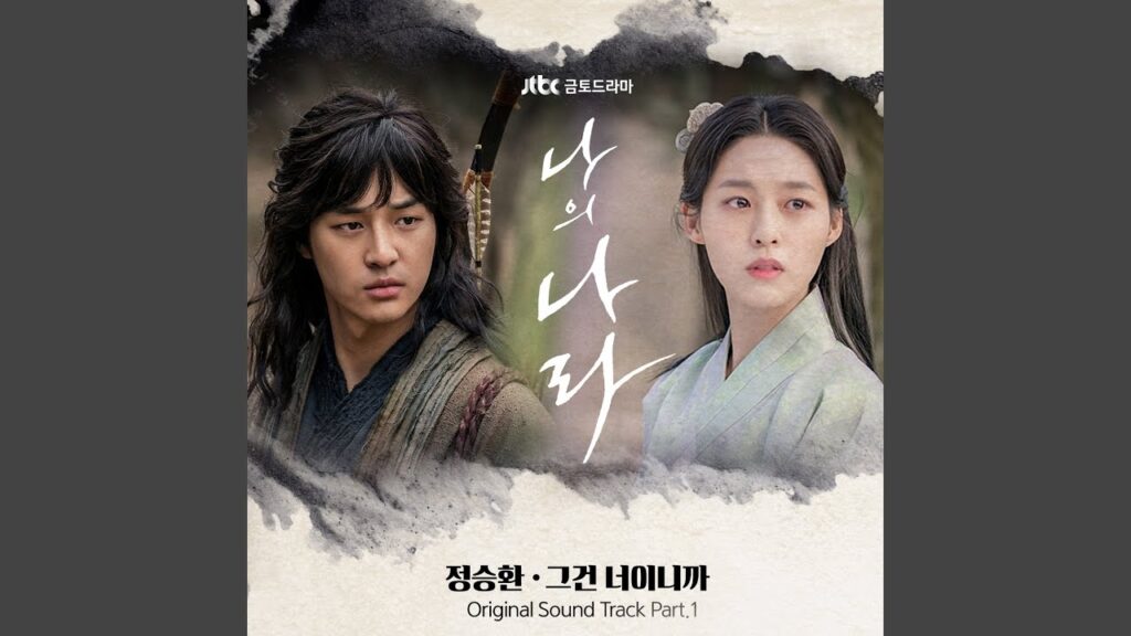 私の国 韓国ドラマ感想＆評価＆OST！ヤン・セジョンとウ・ドファンのブロマンスに賛否両論